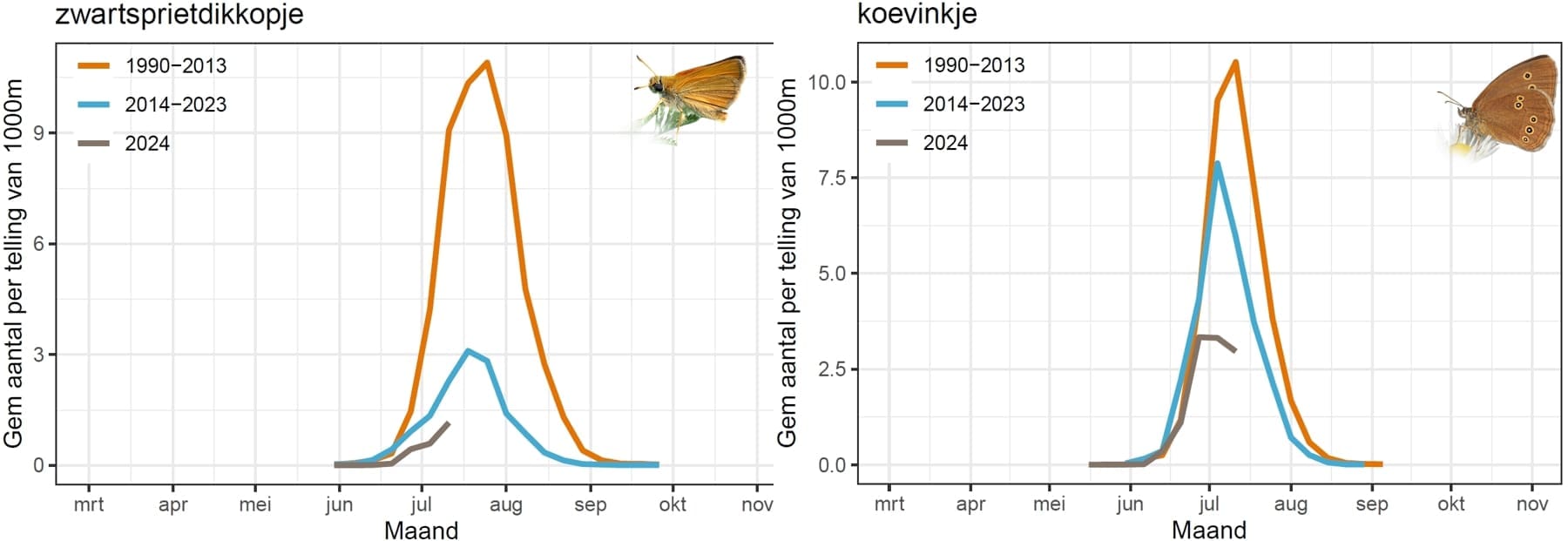 Meetnet vlinders (NEM)